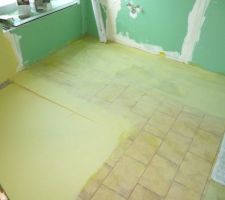 Sol de la salle de bains avec couche d'&eacute;tanch&eacute;it&eacute; &agrave; l'emplacement de la douche &agrave; l'italienne et primaire d'accrochage sur l'ancien carrelage