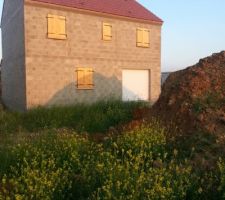 Maison hors d'eau, hors d'air : vue du jardin (de dos)