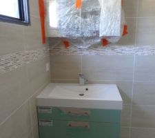 Meuble SDB bas. Il est beige, et non pas vert, ce sont les plastiques de protection!