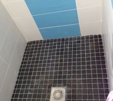 Douche &agrave; l'italienne