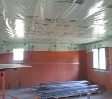 Membrane Ampatex cento