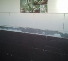 Carrelage mural salle de bain et wc de l'étage,en attente de sa faïence et joint.