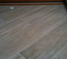 Sélection carrelage : carrelage grès cérame émaillé de marque ELISIR, modèle TORTORA en 20x60 cm.