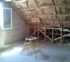 Combles am&eacute;nag&eacute;s