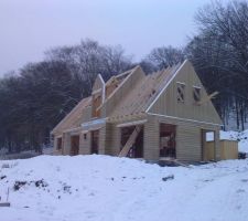 Ma cabane au fond des bois