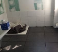 Carrelage salle de bain en cours