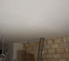 Peinture RDC