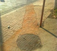Notre branchement tout à l'égout