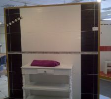 Carrelage de la salle de bain des enfants