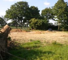 On va pouvoir fatiguer nos filles dans ce jardin.