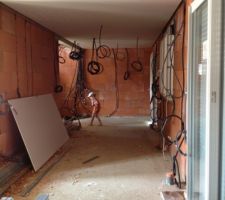 Plafond et pieuvre électrique !