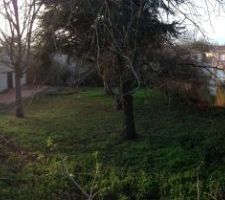 Notre terrain. Ce terrain est issu d'un découpage du terrain de la maison à gauche. La limite du terrain est au niveau de la terrasse de la maison