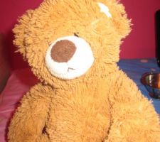 Notre ours en peluche : clerc de notaire.