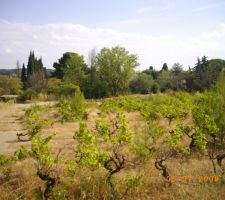 Vue sur le sud