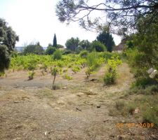 Vue sur l'ouest