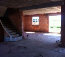 Cuisine vue sur salon salle a manger