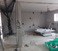 Le salon,au fond a droite la cuisine,a gauche l entree et la "pieuvre" electrique