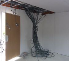La "pieuvre" electrique