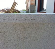Fissure mur de retenue gauche
