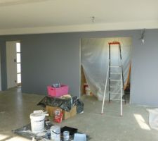 Peinture gris foncé pour le salon