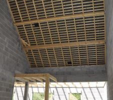 2ème et 3ème chatière de ventilation. 

La 3ème (en bas) a été ajoutée à ma demande, à moins qu'elle ait toujours été prévue ... je ne le saurais jamais puisque j'ai réclamé avant que la couverture ne soit finie ! ;-)