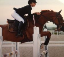 Loulou vole !