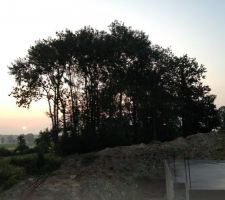 Levé de soleil après arrosage de la dalle !