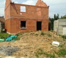 Vue du jardin sur la construction de derriere ... :((