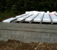 Les entrevous polystyr&egrave;ne &agrave; languette...