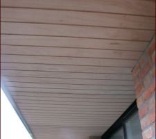 Cache moineau arri&egrave;re de la maison