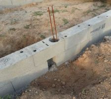 à mon goût, je trouvais qu'il y avait encore trop de terre , et pour faciliter la ventilation, j'ai improviser une séance de décapage de la terre au pourtour des trous