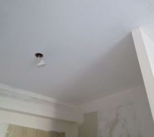 Sous couche cellier