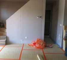 Installation du TMS (cot&eacute; entr&eacute;e/couloir)