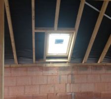 Zomm sur le velux