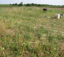 Vue de notre friche avant intervention (1/3)