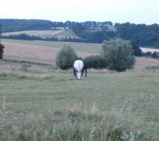 Nos futures voisines!