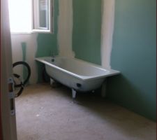 La salle de bain avec le coin baignoire
