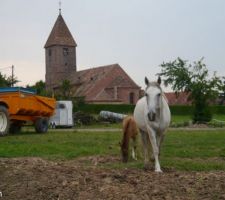 Les voisins ;)
