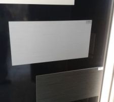 Le carrelage du sol de la SdB (gris fonc&eacute;)