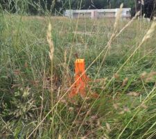 Piquetage du terrain = Déclaration d'ouverture du chantier