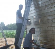 Protection du bardage