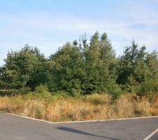 Terrain, il y a du boulot!