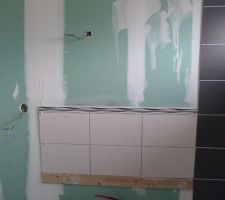 Faience lavabo salle de bain