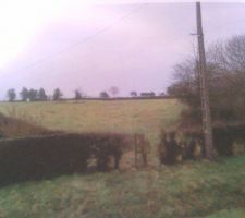 Voici le terrain que nous avons choisi