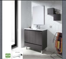 Meuble de salle bain situé au Rdc