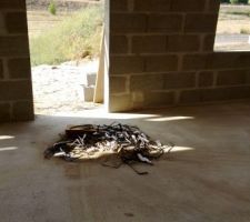 Un peu de nettoyage de chantier! c'est bien ça :-)