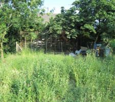 Le jardin avant débroussaillage...ça a bien poussé depuis avril !