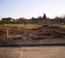 Notre parcelle vue de devant