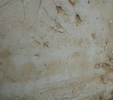 Après le séchage de la semelle, 1 semaine sous l'eau et avec la zone inondée on voit apparaitre des fissures assez importantes.

Malgré tout il nous est dit que ce n'est pas grave (constructeurs comme amis) et que ça ne génera pas la solidité de la maison