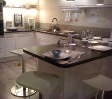 Futur cuisine ikea